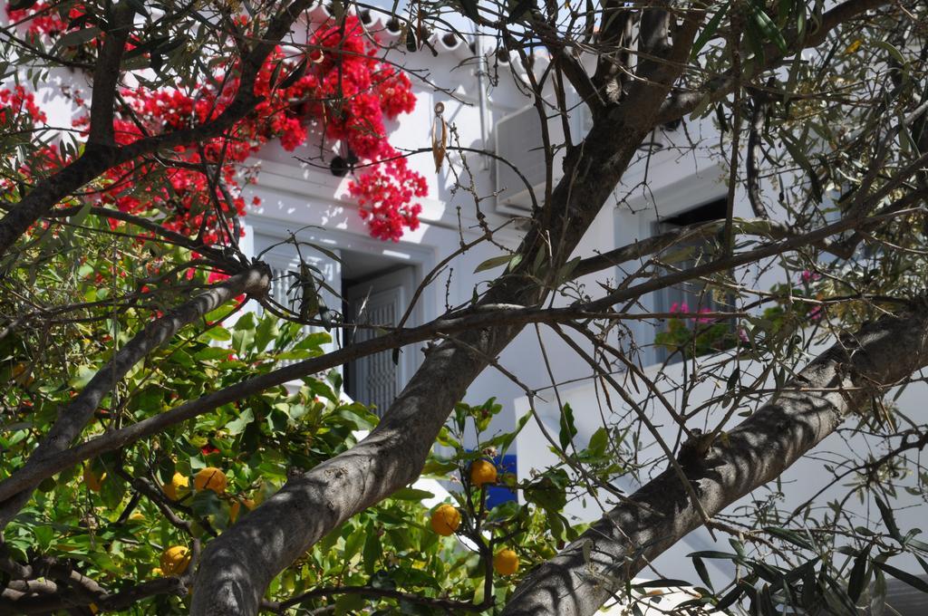Villa Christina Spétses Eksteriør bilde